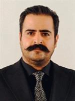 ابوالحسنی، ناصر