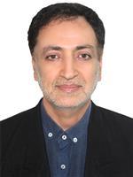 مردانی نوکنده، محمد حسین
